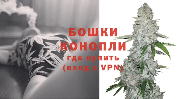 МДПВ Инта