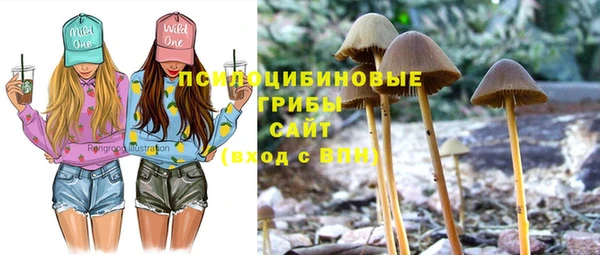 МДПВ Надым